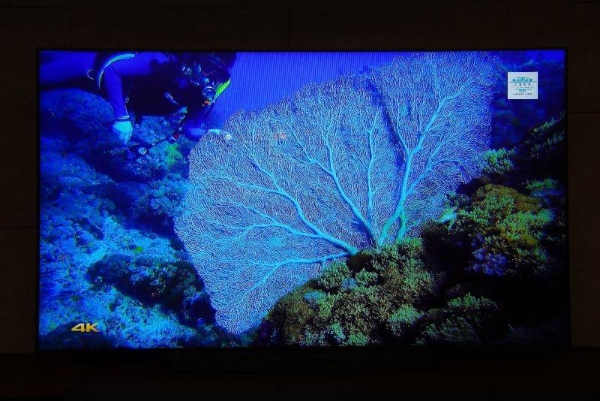 三星98英寸级Neo QLED 4K电视QN90F：用巨幕重新定义家庭影音的幸福感