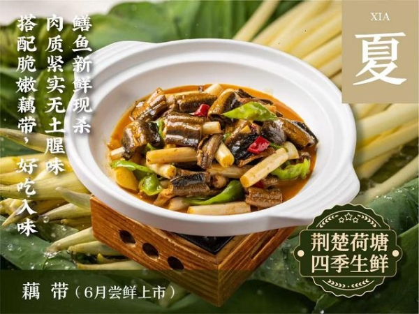 "藕"遇鹏城香飘湾区——来菜·湖北头牌藕汤首驻华南