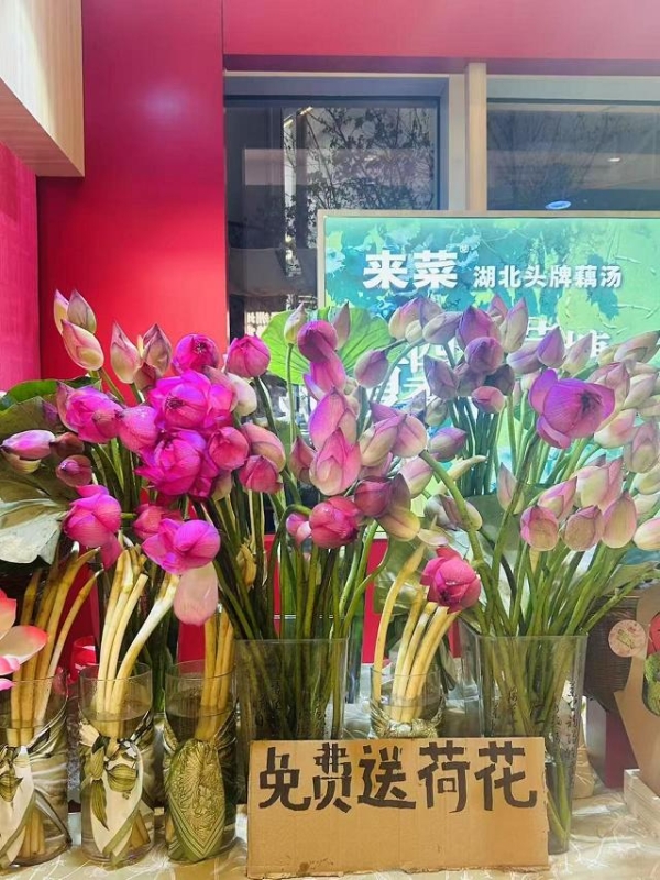 "藕"遇鹏城香飘湾区——来菜·湖北头牌藕汤首驻华南