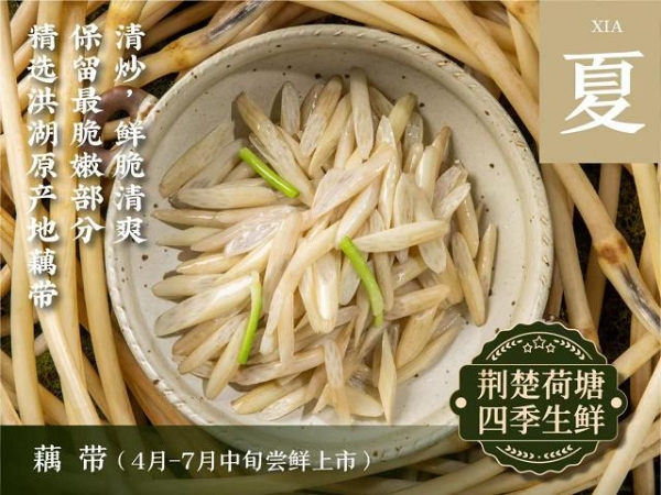 "藕"遇鹏城香飘湾区——来菜·湖北头牌藕汤首驻华南