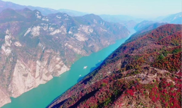 巫山粉条：非遗匠心融山水，千年技艺焕新颜