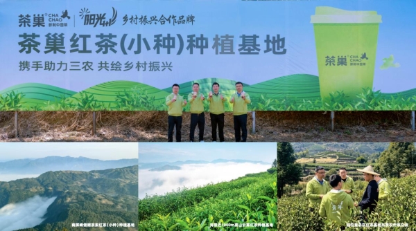 鲜制中国茶启航蓉城！茶巢西南市场落地，重塑地域茶饮格局