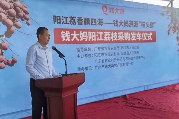  钱大妈直采阳江荔枝满载发车，百年荔乡焕发产业新活力 