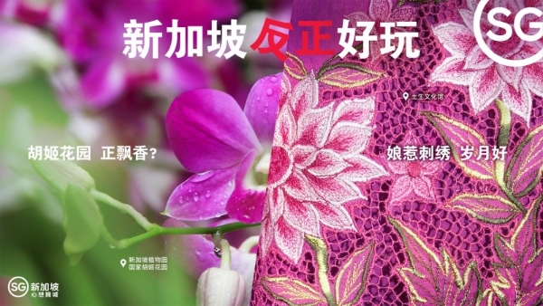 「新新银龄青年」计划全国招募启动，新加坡：@一个“反正好玩”的你