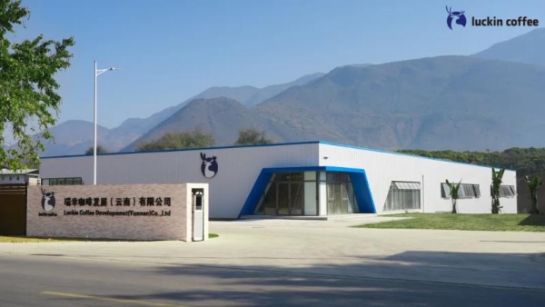 守护中国最美小鸟栗喉蜂虎，瑞幸助力云南原产地可持续发展