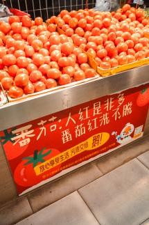 当山城烟火遇见小天鹅:一只“老道”新鹅的重庆邻里记