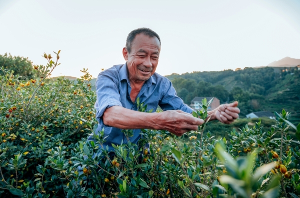 实力印证！扬子江药业集团再夺金远奖 