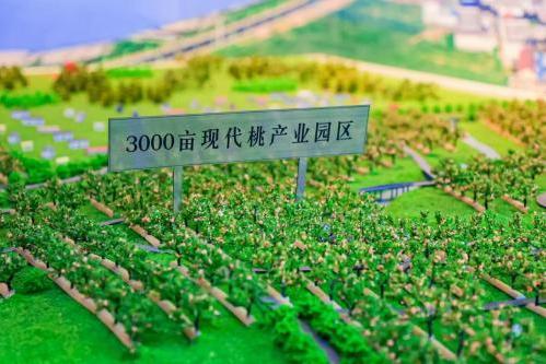华润万家焕乡计划之百家基地建设，蒙阴蜜桃基地正式授牌