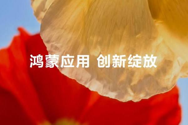 技术赋能伙伴构筑高品质的数字内容和服务，鸿蒙体验穿越“微笑曲线”