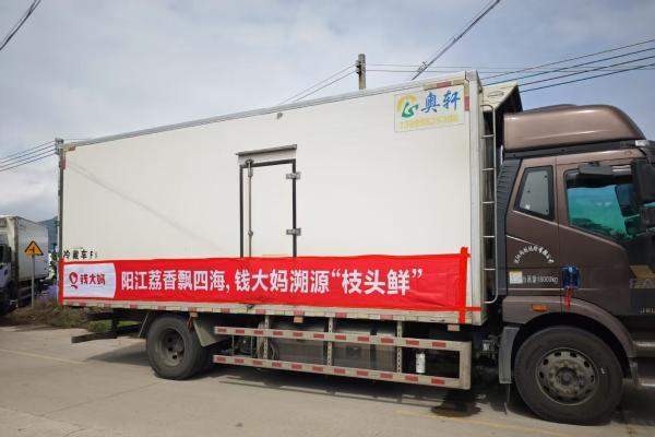  钱大妈“荔枝专线”发车，助力阳江妃子笑“鲜”达全国