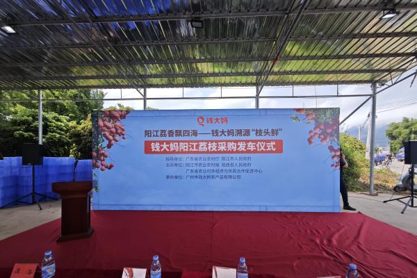  钱大妈“荔枝专线”发车，助力阳江妃子笑“鲜”达全国