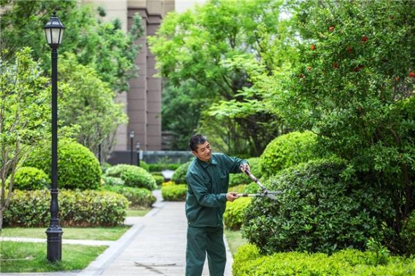 2500天温情实践，金科服务呈递理想家园又一满分答卷