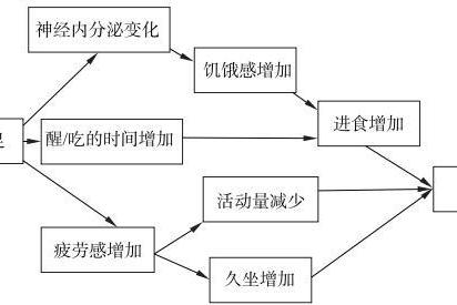体重管理年新注解：清雷科技用睡眠数据构筑健康防线