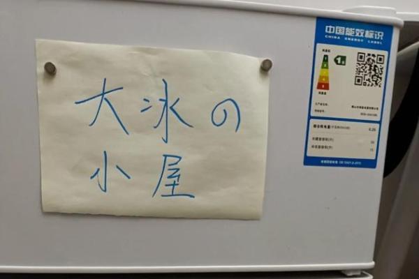  恭迎“吸贵妃”回宫，年轻人在抖音买家电能买出多少乐子？