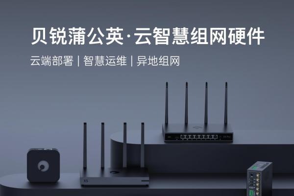 再夺第一！贝锐蒲公英异地组网路由器销量领跑中国市场