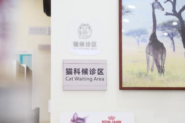  新瑞鹏集团爱猫义诊第三站落地沪湘，深度传递科学养猫理念