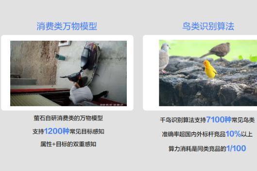  深耕垂直物联场景，萤石蓝海大模型2.0 升级引领行业再跃迁