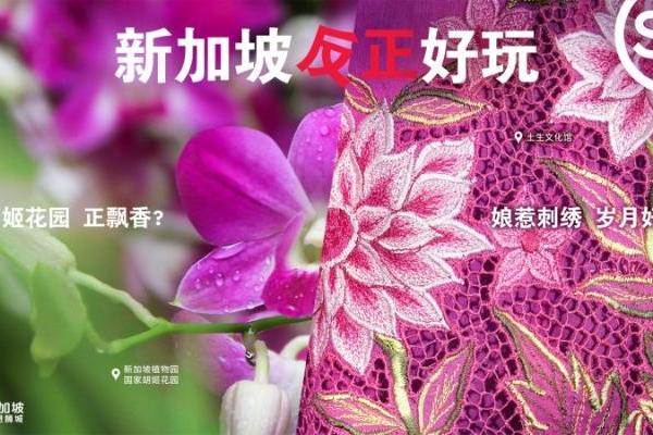 「新新银龄青年」计划全国招募启动，新加坡：@一个“反正好玩”的你