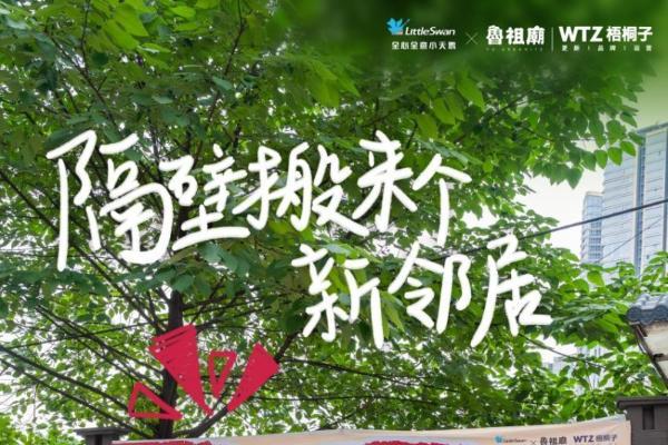 当山城烟火遇见小天鹅：一只“老道”新鹅的重庆邻里记 