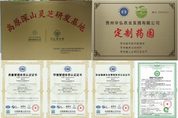 从深山秘境到消费信任：华弘草芝堂如何用“真实溯源直播”定义灵芝 滋补 行业新标杆？
