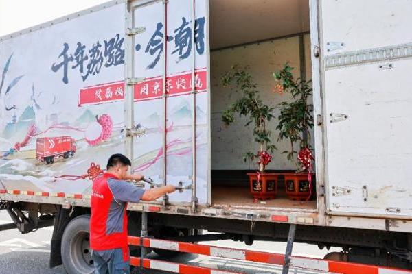  最大规模荔枝助销丨京东物流联合生态伙伴开启岭南荔枝全国产销对接