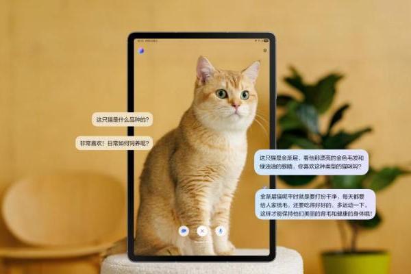 三星Galaxy Tab S10 FE：618更适合职场人的轻办公平板