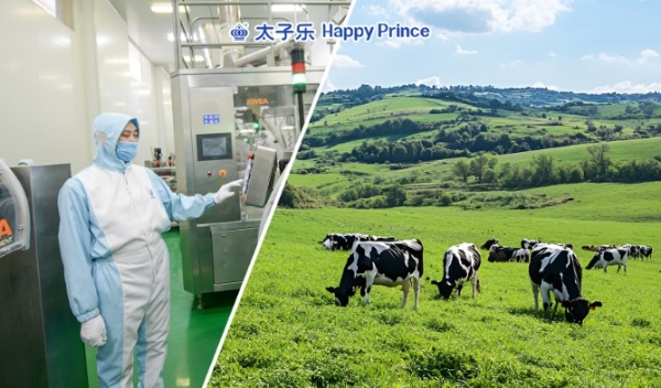 太子乐乐高，助力孩子暑期实现成长“弯道超车” 