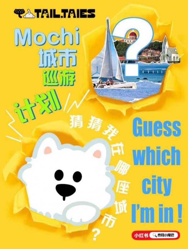 “宠物友好”正升温一座城——Mochi陪你一起看鹿晗演唱会