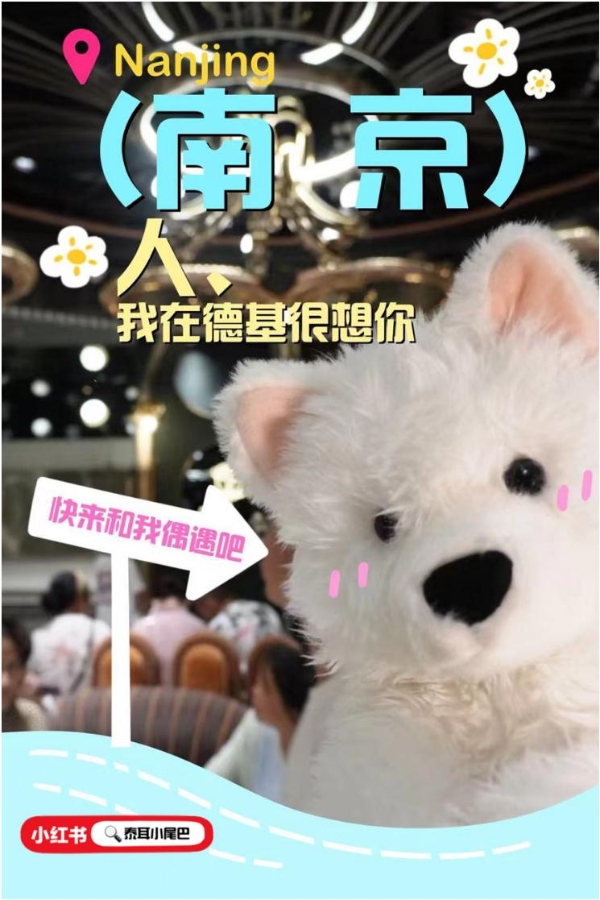 “宠物友好”正升温一座城——Mochi陪你一起看鹿晗演唱会