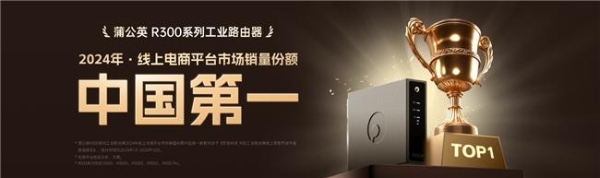 支持三网智能切换，贝锐蒲公英异地组网方案保障铁路防灾监测不中断