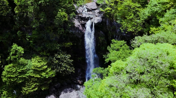 江南贡泉•活的高山泉水凭借“高山泉、高含氧、高活性”征服众多爱茶者！ 