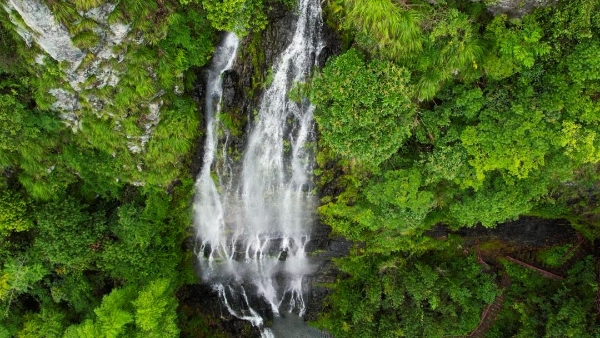 江南贡泉•活的高山泉水凭借“高山泉、高含氧、高活性”征服众多爱茶者！ 