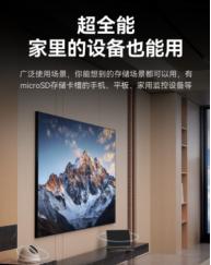 极速存储 + 全能防护，雷克沙 Professional SILVER PLUS 重塑影像存储标准 