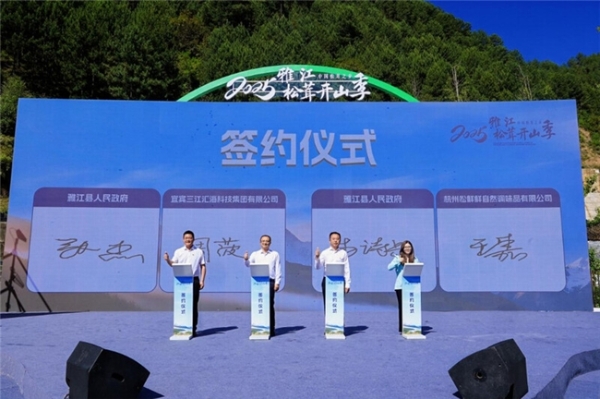 松鲜鲜携手“中国松茸之乡”雅江，共谱生态与产业融合新篇章 