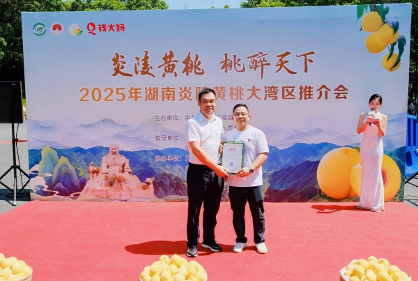钱大妈贯通炎陵黄桃鲜达供应链，大湾区实现“早晨采摘下午尝鲜” 