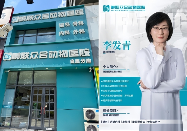 【小流浪变形记】独眼“海盗喵”涅槃重生，新瑞鹏旗下美联众合动物医院白鹿分院的温暖救赎