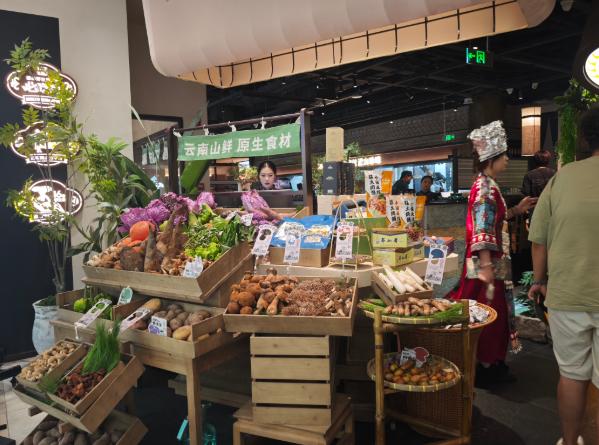 “菌彩”绽放京城！云南野生菌火锅代言品牌北京首店璀璨启幕 