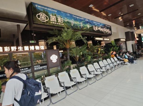 “菌彩”绽放京城！云南野生菌火锅代言品牌北京首店璀璨启幕 
