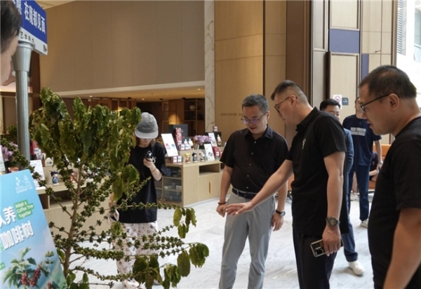 艺龙酒店科技启动云南咖啡推广计划 以产业融合谱写乡村振兴新篇章 