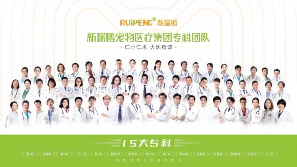 新瑞鹏集团入选胡润《2025全球独角兽榜》，以330亿元估值跻身全球第197位 