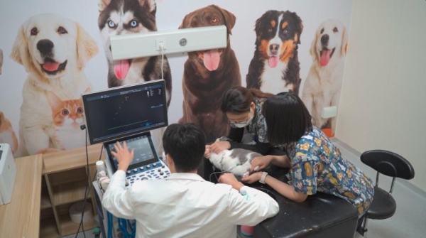 加倍关爱从“心”开始，新瑞鹏集团“守护健康心”公益行动进行中 