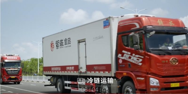一只“紫燕”飞入万家餐桌，紫燕食品以安全与创新领航卤味产业 