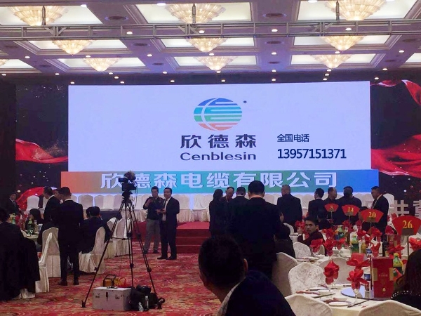 欣德森电缆有限公司国家电网入围企业，电缆技术创新点亮全球能源未来 