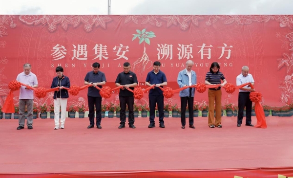 首届人参产业发展促进会圆满成功！政企协研共创集安“国参故里”金名片 