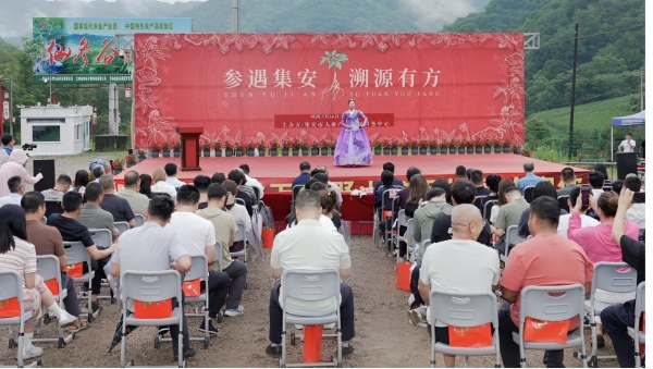 首届人参产业发展促进会圆满成功！政企协研共创集安“国参故里”金名片 