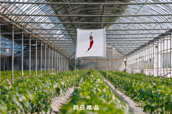 朝日唯品，如何让有机被感知？