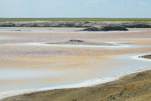 华润万家焕乡计划之百家基地建设，额吉淖尔湖盐基地正式授牌