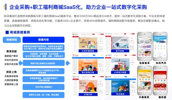 《2025数智采购供应链发展报告》重磅发布，阳采集团AI驱动采购创新实践获评行业标杆 