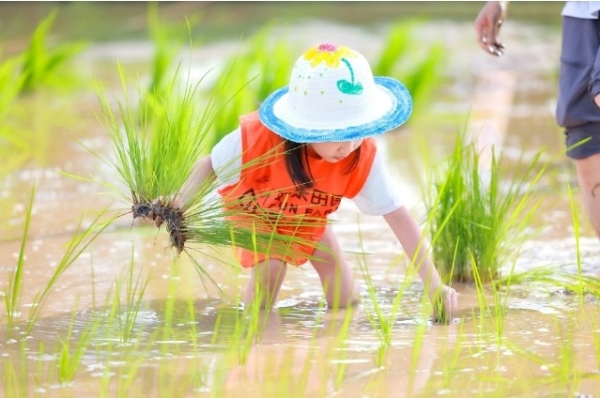 欢乐共享新体验，2025华侨城旅游狂欢节惠民来袭