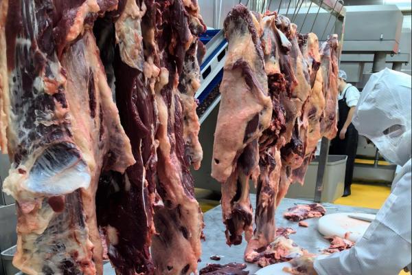 牛肉市场价格上涨，厚府牛油拌饭坚守品质扶持加盟商 